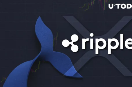 288 Million XRP Wired by Ripple and Whales as XRP Briefly Rises 11.73%
