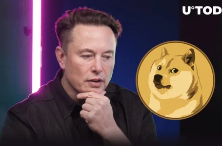 Dogecoin Keeps Plunging Amid Musk’s Early Twitter Debacle