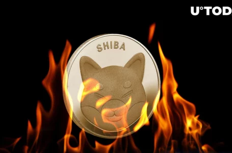 SHIB Burn Rate Up 5,800% as Shiba Inu Sets Key Milestone
