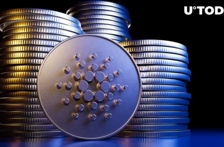 Cardano Will Raise Bar, Community Predicts Entrant of Tech Giants Into Crypto