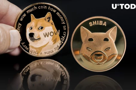SHIB Outperforms DOGE With 13% Surge Against It in 5 Days