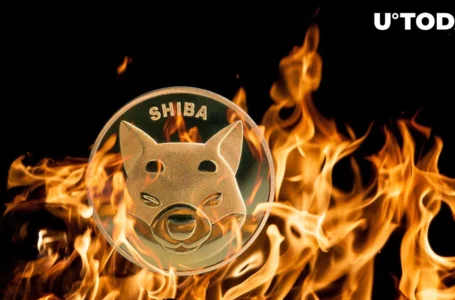 SHIB Burning Makes Leap, Here’s How Much Was Burned Last Week