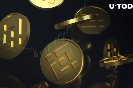 BNB Could Jump to $443, Here’s What Should Happen First: Analyst