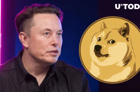 Doge Co-Founder Gets Permission from Elon Musk to Keep His Pseudonym