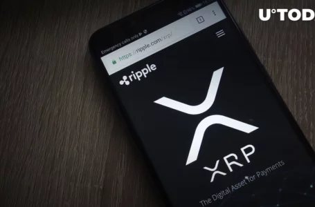 XRP Absorbs $1.1 Million in Fund Flows as Investors Bet on Ripple Side