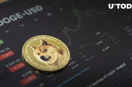 $1 Billion Worth of Dogecoin Moved in Recent Days as Speculation Remains