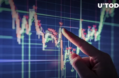 Crypto Market Liquidations Hit $300 Million in Last 12 Hours, Bull Market Canceled?