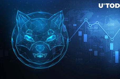 SHIB up 30% Against DOGE on Back of Shibarium News