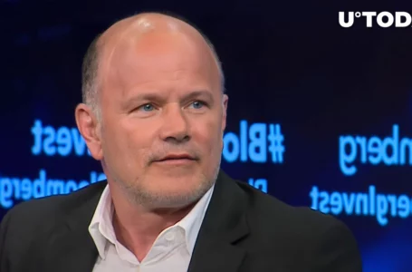 Novogratz Says FTX Looks Like Theranos