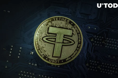 Crypto Veterans Praise USDT Highly Amid Market Drama, Why?
