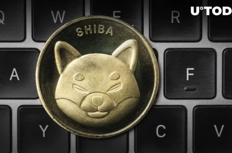 Shiba Inu Sets New Community Milestone: Details