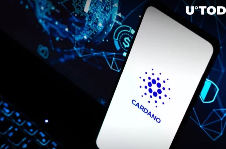 Cardano Network Activity Spikes on FTX Crash, Here’s Detailed Insight
