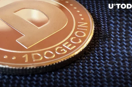 DOGE Creator Never Made Millions of USD from Crypto, Here’s Why