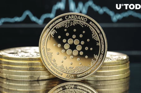 Cardano’s “Best Days Are Ahead,” Community Predicts