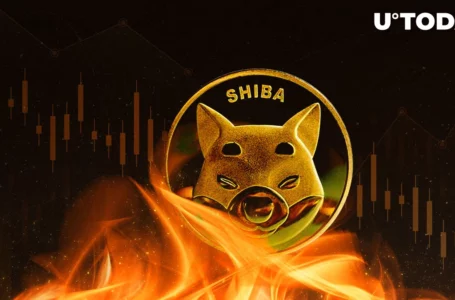 Weekly SHIB Burn Falls to Lowest Number, Here Might Be Reason