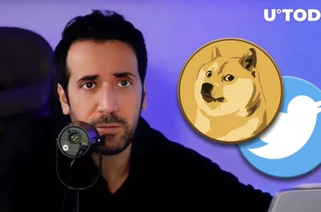 David Gokhshtein Predicts Dogecoin’s Use on Twitter, Here’s How It Would Play Out