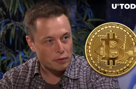 Elon Musk on Bitcoin and What Could Be Stopping It Right Now