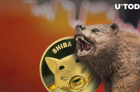 Shiba Inu Price Drops 24% Within a Week as Death Cross Forms