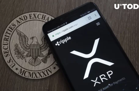 XRP and Ripple Receive Six Times More Briefs in Support Than SEC