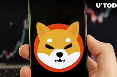 Here’s What Drives SHIB Price up, According to Major SHIB Platform