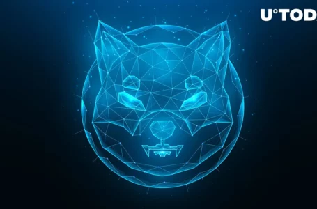 SHIB Metaverse Makes Important Reveal, Here’s How Far Development Has Gone