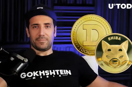 I’ll Keep Getting DOGE and SHIB, Other Meme Coins in Question: David Gokhshtein