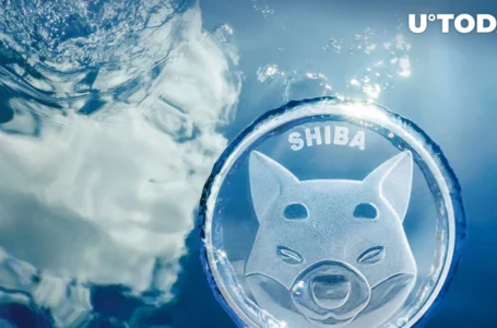 SHIB Price May Have Found Its Bottom, Here’s What’s Next