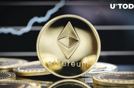 Ethereum Turns into First Profitable Blockchain from Top 10 of Crypto Market