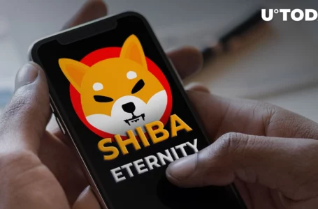 Shiba Eternity Sets New Milestone After Attracting Players Worldwide: Details