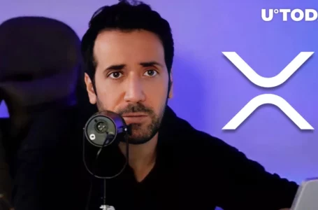 XRP Makes More and More Sense Now: David Gokhshtein
