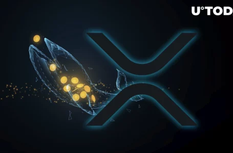 Hundreds of Millions of XRP Moved from Binance, Here’s What Happened Here
