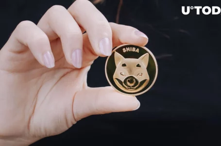 SHIB Sets New Record in This Metric, Price Weighs Next Move