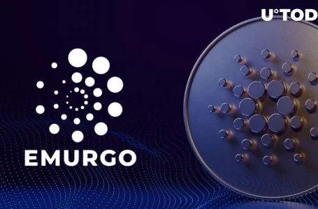 Cardano (ADA) Stablecoin USDA to be Launched by Emurgo’s Anzens