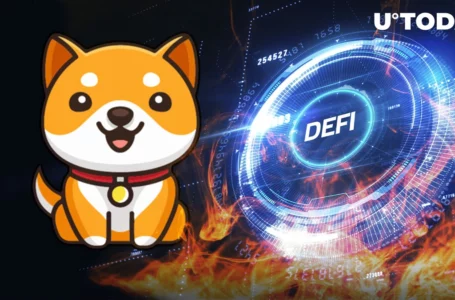 BabyDoge To Introduce Feature To Accelerate Burns on DeFi Swap: Details