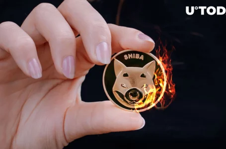 Shiba Inu Burn Rate Spikes by 121%, Price Reacts