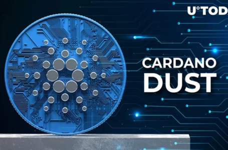 Cardano Just Introduced DUST Token, Here’s What Is Known