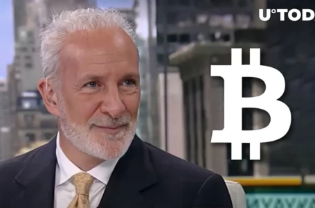 Peter Schiff Notices That Elon Musk Sent Bitcoin to $70,000 with One Picture