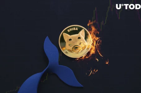231.4 Billion SHIB Dumped by Top Whales as Burn Rate Spikes 506%