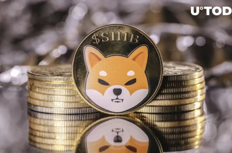 Shiba Inu Sees 92% Spike in Trading Volume as Large Transactions Rise