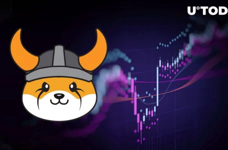 Shiba Inu Rival FLOKI up 25% as Binance Event Is Announced: Details