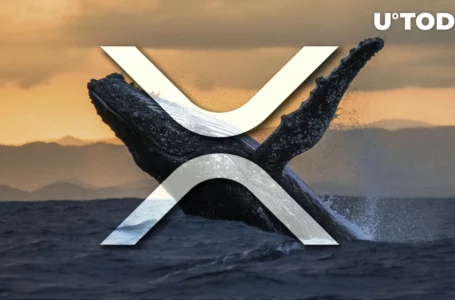 Hundreds of Millions of XRP Moved by Whales as Price Shows Bullish Setup