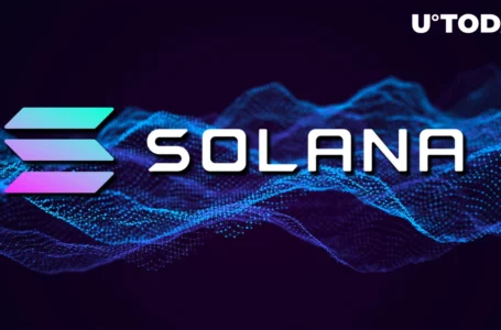 These SOL Enthusiasts Keep Solana Alive, Here’s How