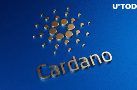 Cardano’s Stablecoin Djed to Go Live in January 2023