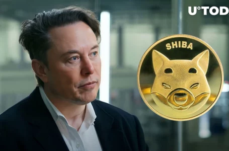 Shibburn Calls Elon Musk to Action, Here’s What It’s About