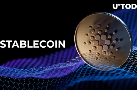 Cardano Sets New Milestone as First Stablecoin Launches