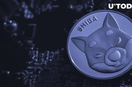 Whales’ SHIB Holdings Fall Under $70 Million, Yet SHIB Army Hits New Milestone