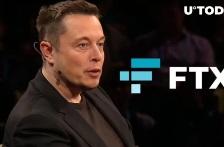 Elon Musk Comments on What Truly Made FTX Fail