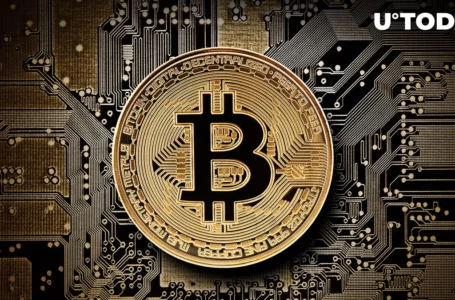 Bitcoin Might Reach $149K After Next Halving Cycle: Pantera Capital