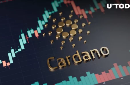 Cardano’s Major Blockchain Metric Eyes Significant Increase, Here’s What Happened