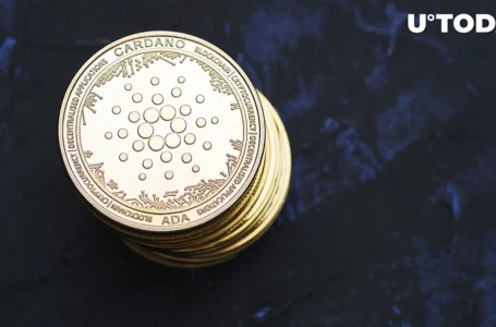 Cardano Stablecoin Djed to Supercharge Own Payment System: Sneak Peek